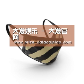 成人布口罩