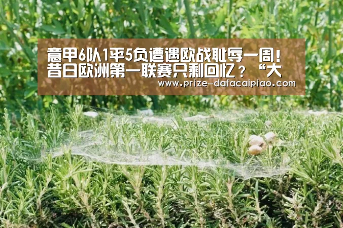 大发彩票